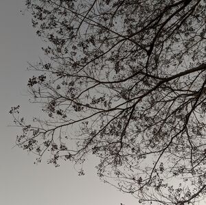 Meet your Posher, Maurine